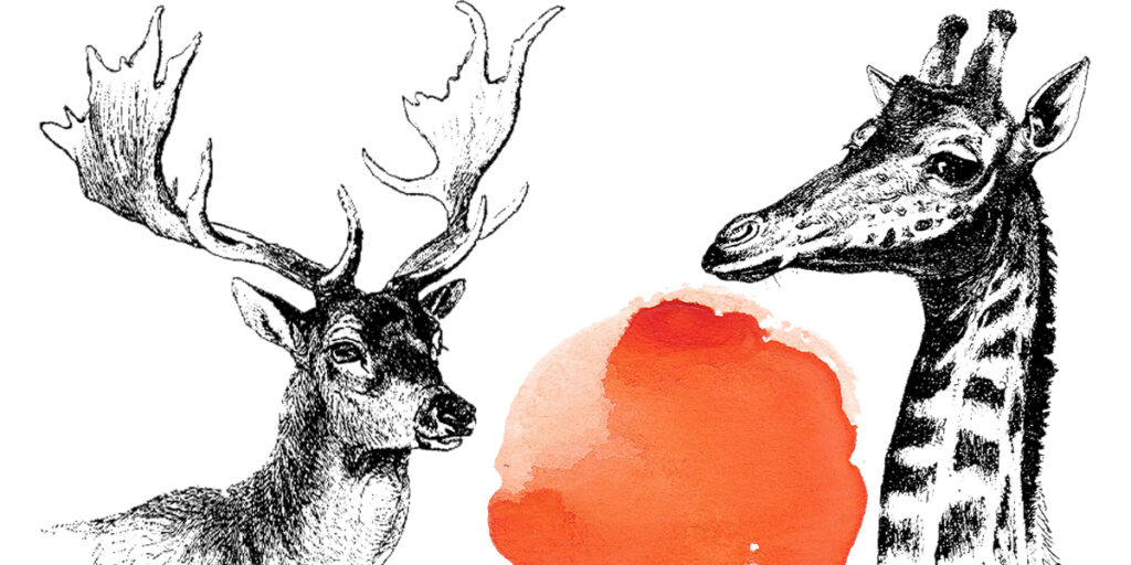 Unity in Diversity - Lessons from the Animal Kingdom - The Acropolitan Magazine Unity in Diversity - Lessons from the Animal Kingdom - The Acropolitan Magazine